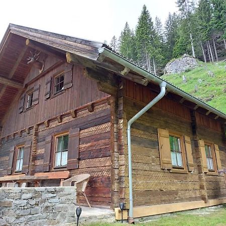 Siegel Almhuette Villa Zederhaus Buitenkant foto