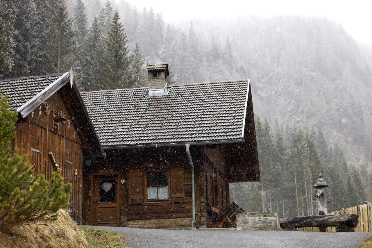 Siegel Almhuette Villa Zederhaus Buitenkant foto