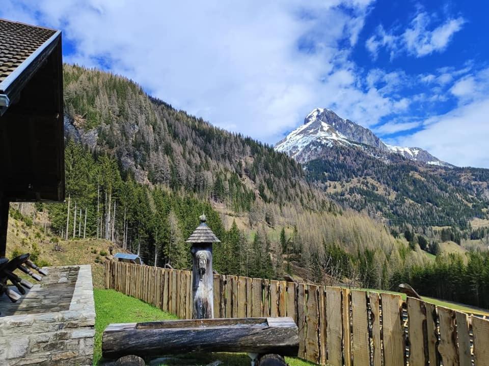 Siegel Almhuette Villa Zederhaus Buitenkant foto