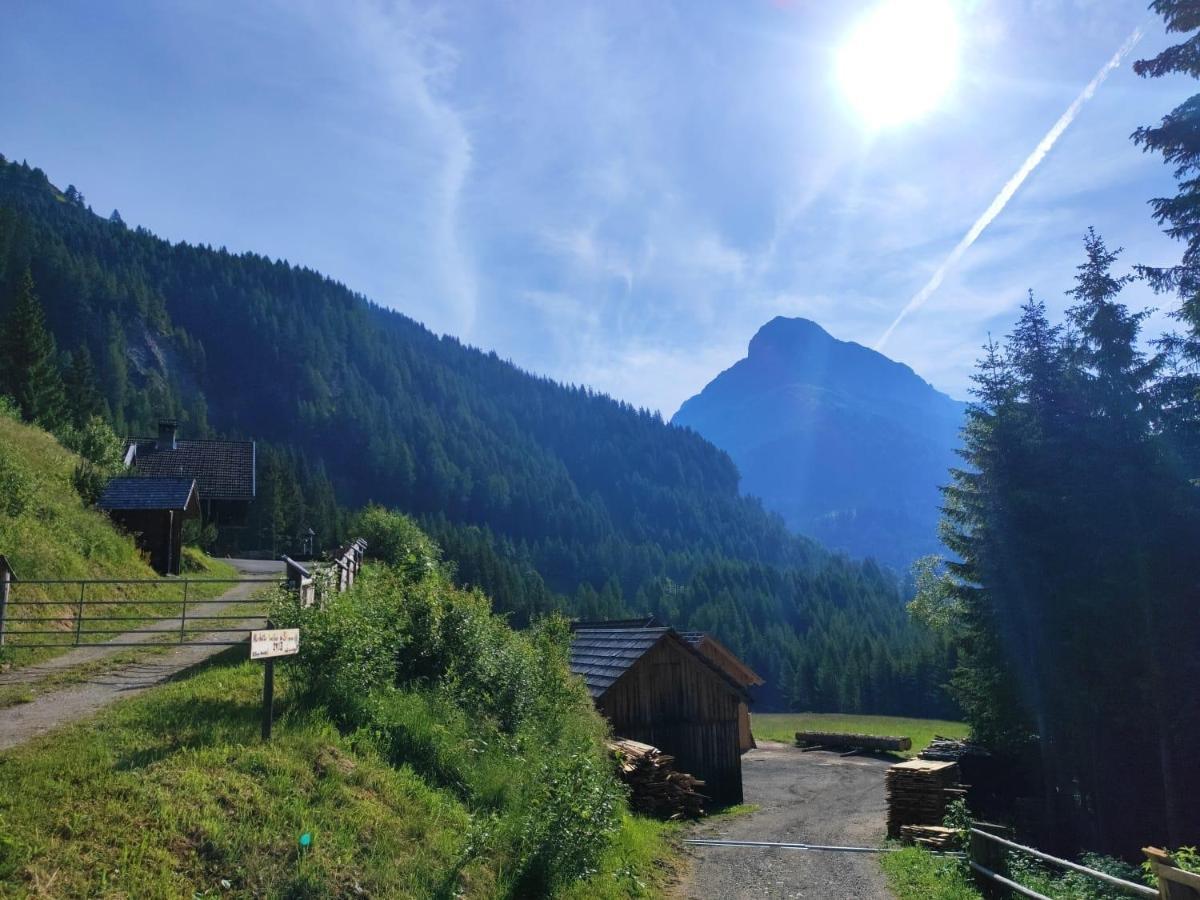 Siegel Almhuette Villa Zederhaus Buitenkant foto